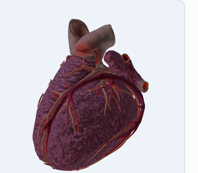 Режим 3D-Сердце